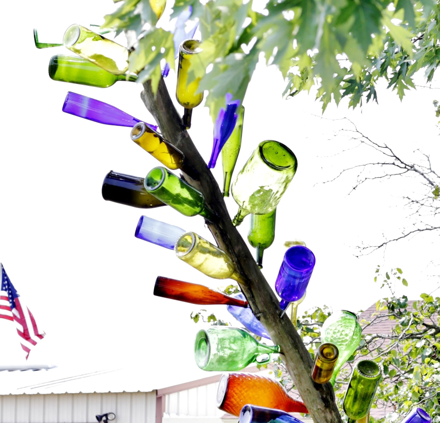The colorful bottle tree just west of Yantis.
